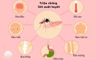 Dấu hiệu cảnh báo nguy hiểm trong sốt xuất huyết ở trẻ